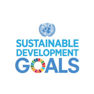 sdg logo white background 600x600
